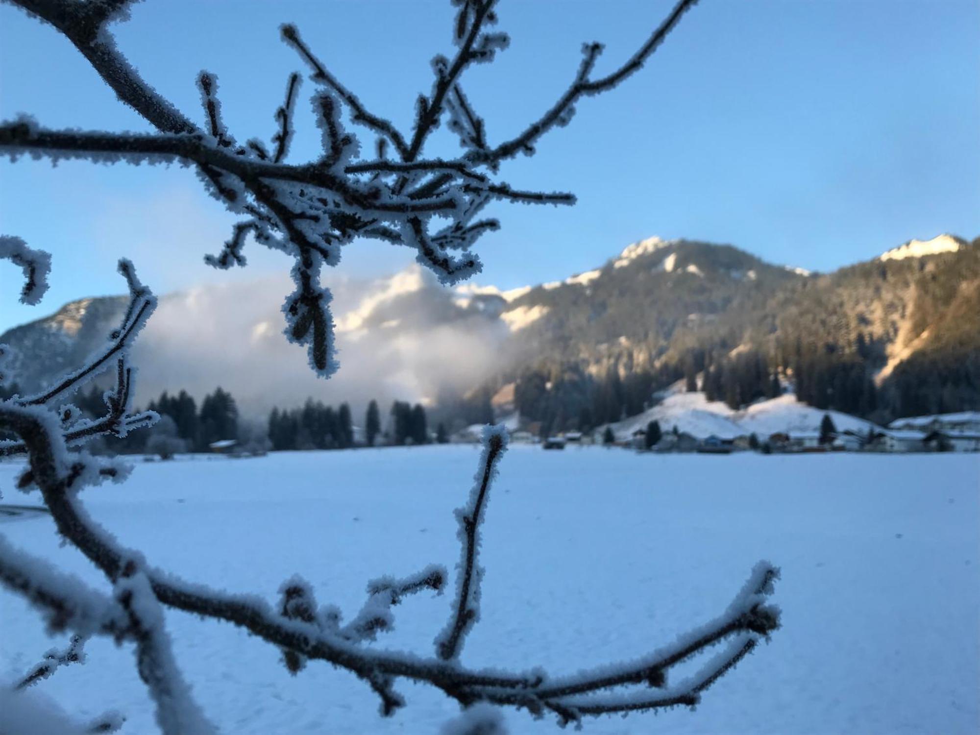 Pension Talblick In Waengle Bei Reutte Bagian luar foto